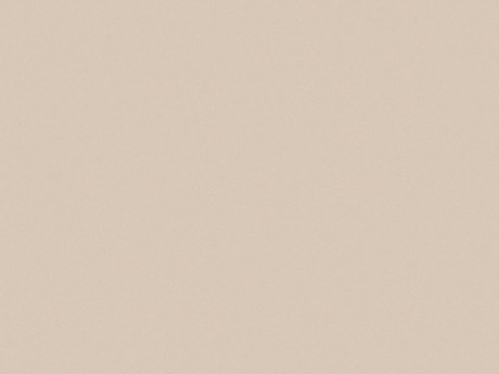 Champagne 27045 OM/BS - Optimatt 19,2 mm