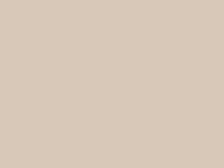 Champagne OF/MN 27045 OF - 19 mm