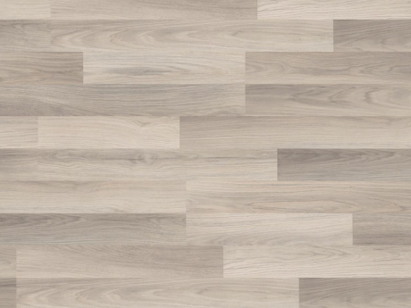 Hrast Particol  37215 (AH) 8.0