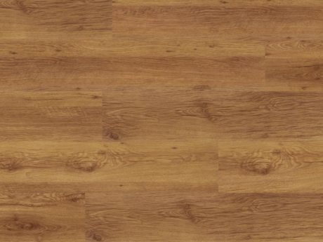 Hrast Siena 3709 (AH) 7.0