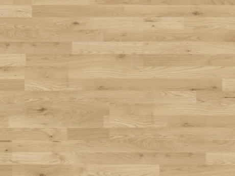 Hrast Trevi 37528 (MO) 7.0