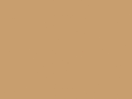 Mandarin Orange 22866 MN - 19 mm