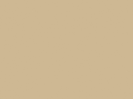 Iveral Sahara Beige 22865 MN - 19 mm