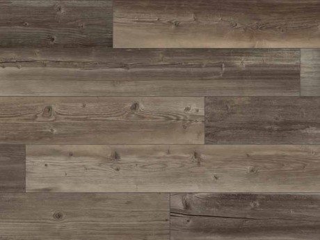 Vinyl - Bor Torra SP60 (AS) 4.0