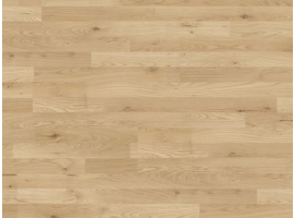 Hrast Trevi 37528 (MO) 7.0