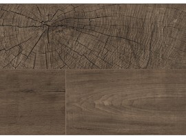 Orah Fresco Root K4383 (AV) 8.0