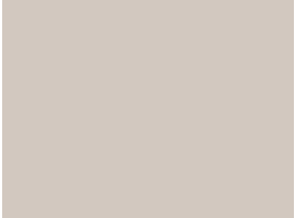 Noir Boxcar Blonde 19 mm MDF - jednostrani