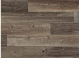 Vinyl - Bor Torra SP60 (AS) 4.0