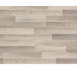 Hrast Particol  37215 (AH) 8.0