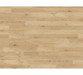 Hrast Trevi 37528 (MO) 7.0