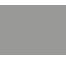 Platinum sivi 27193 MN - 19 mm
