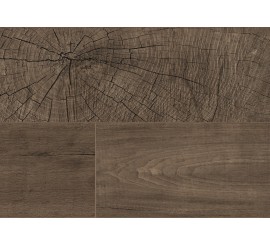 Orah Fresco Root K4383 (AV) 8.0
